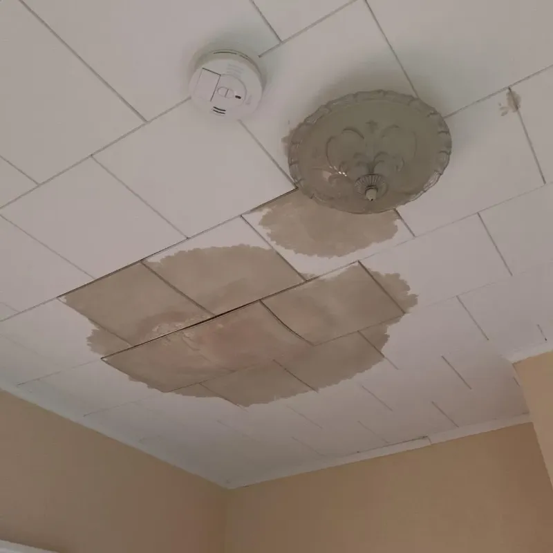 Ceiling Water Damage Repair in Santa Cruz County, CA