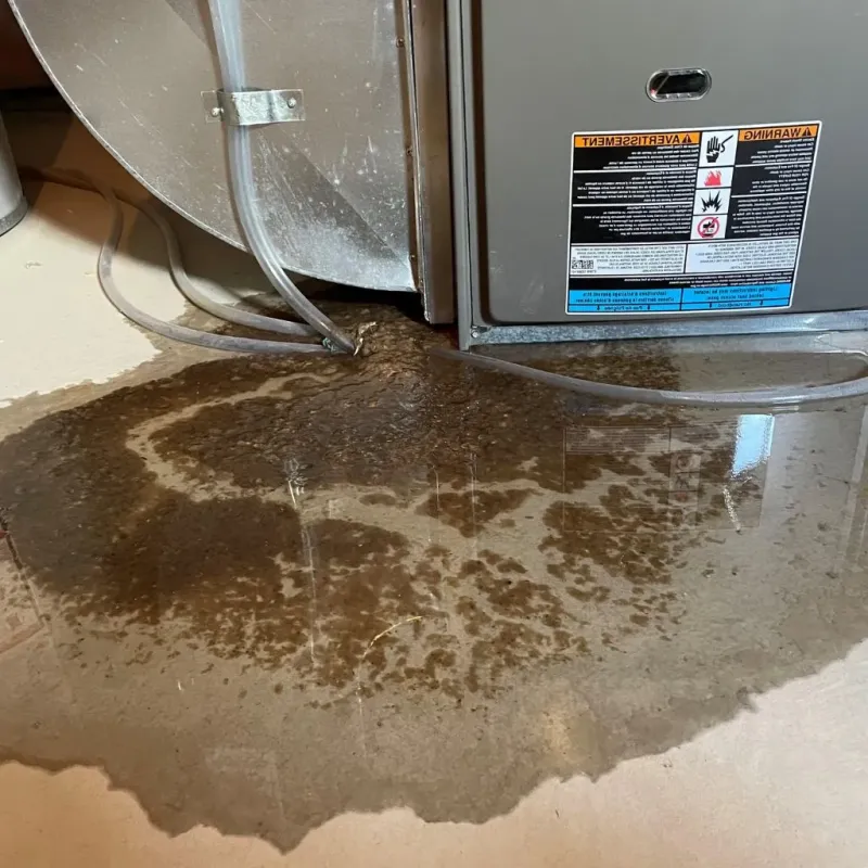 Pipe Burst and Leak Restoration in Santa Cruz County, CA